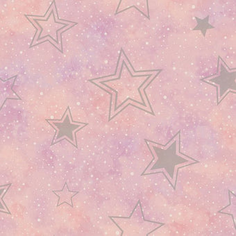 14060 Adventure Awaits Stardust Pink/Silver