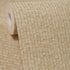 27545 Yuuma Taro Ash