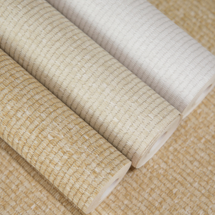 27545 Yuuma Taro Ash