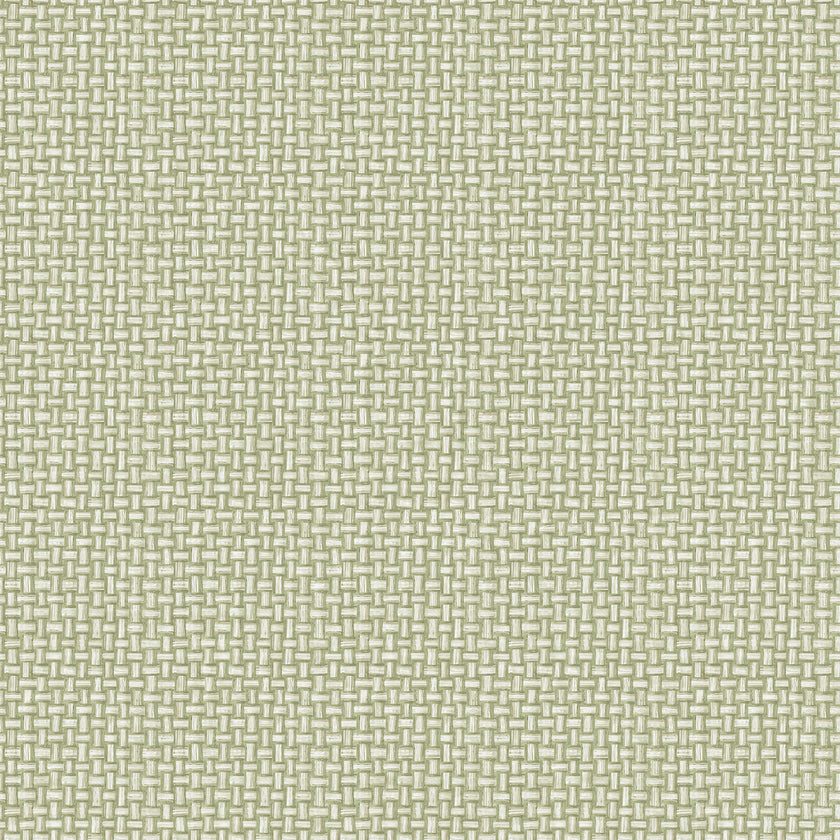91601 The Lost Garden  Biderbost Weave Green