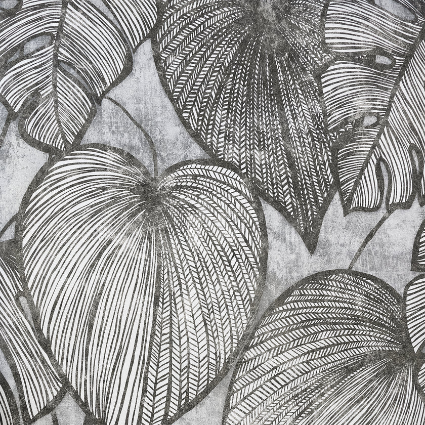 26939 Julie Feels Home Monstera