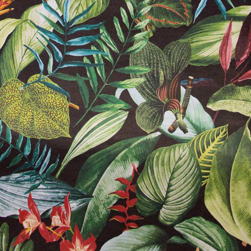 TROPICAL Kiribati Blackberry 26742