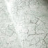 26871 Bento Chalky Frost Mint