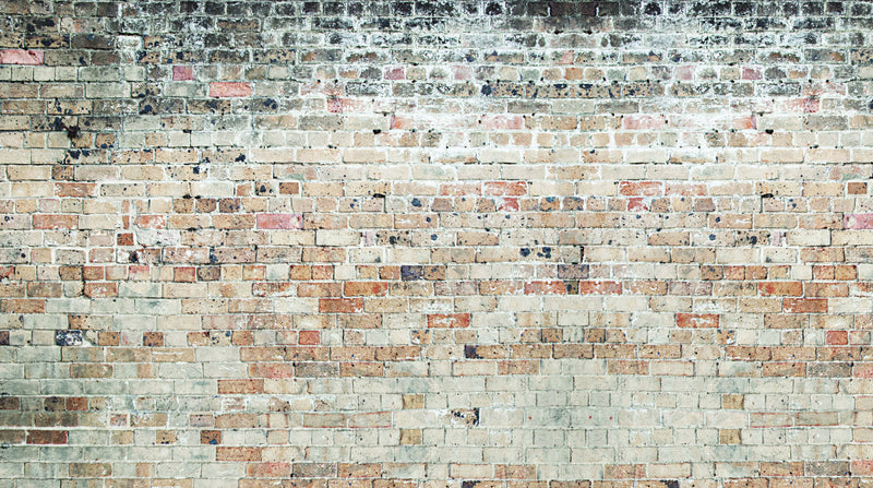 The Rustic Red Brick Wall  -  [Custom printed at R560/m²]