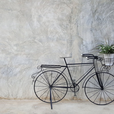 Bicycle in France  -  [Custom printed at R560/m²]
