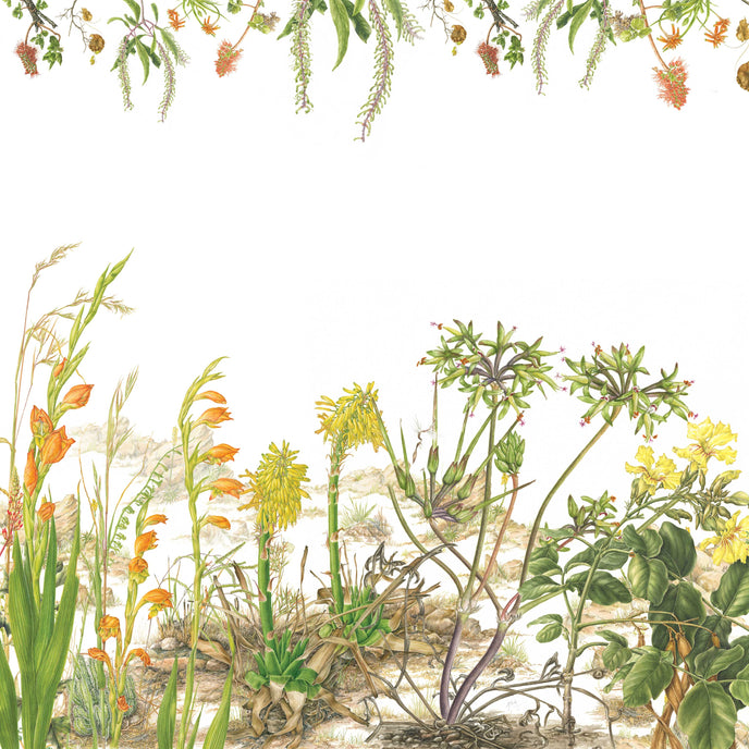 Botanical wallpaper mural featuring delicate South African flora and wildflowers in soft natural tones, with trailing greenery overhead and illustrated aloe, fynbos, and meadow plants across a light background.