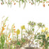 Botanical wallpaper mural featuring delicate South African flora and wildflowers in soft natural tones, with trailing greenery overhead and illustrated aloe, fynbos, and meadow plants across a light background.