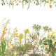 Botanical wallpaper mural featuring delicate South African flora and wildflowers in soft natural tones, with trailing greenery overhead and illustrated aloe, fynbos, and meadow plants across a light background.