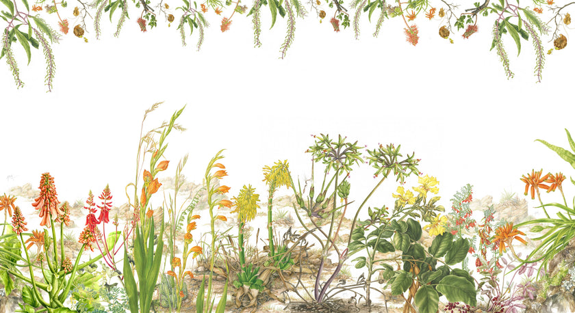 Botanical wallpaper mural featuring delicate South African flora and wildflowers in soft natural tones, with trailing greenery overhead and illustrated aloe, fynbos, and meadow plants across a light background.