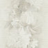 10513-02 Aurora