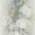 10513-08 Aurora