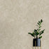 10530-11 Cameo