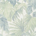 10558-07 Forest Dreams Mistry Monstera