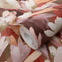 10586-06 Pure Harmony