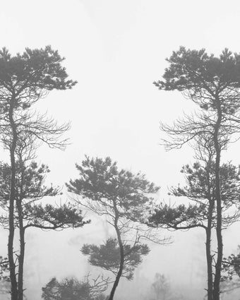 Morning Fog  - Greyscale -  [Custom printed at R598/m²]