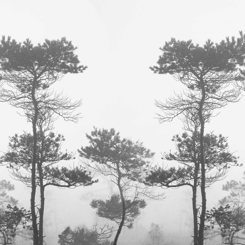 Morning Fog  - Greyscale -  [Custom printed at R560/m²]