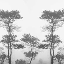 Load image into Gallery viewer, Morning Fog Greyscale   -  [Custom printed at R560/m²]
