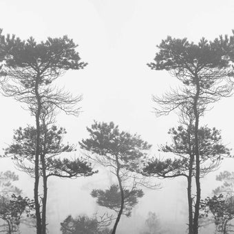 Morning Fog  - Greyscale -  [Custom printed at R560/m²]
