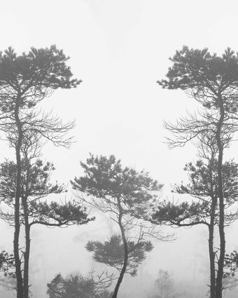 Morning Fog  - Greyscale -  [Custom printed at R598/m²]