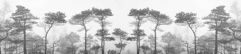 Morning Fog Greyscale   -  [Custom printed at R560/m²]