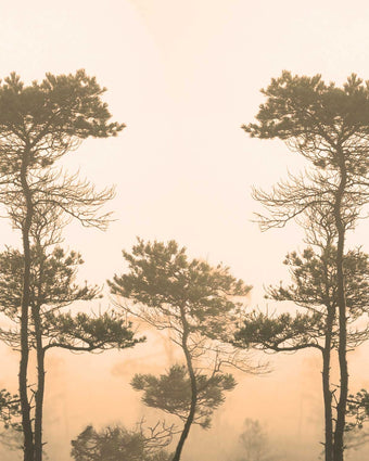 Morning Fog  - Sepia  -  [Custom printed at R598/m²]