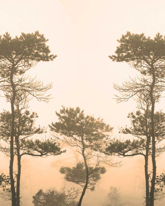 Morning Fog  - Sepia  -  [Custom printed at R598/m²]