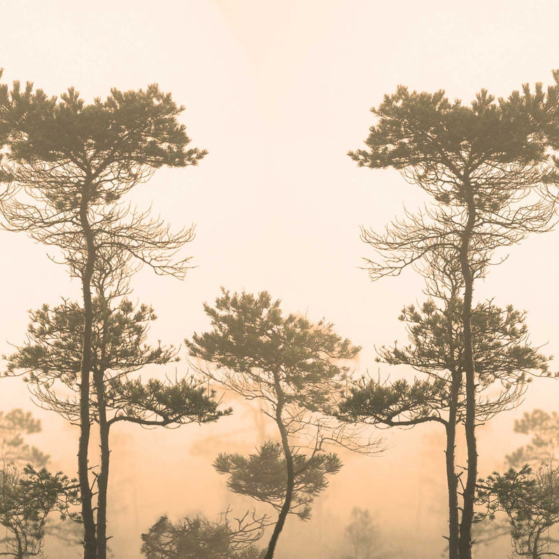 Morning Fog Sepia  -  [Custom printed at R560/m²]