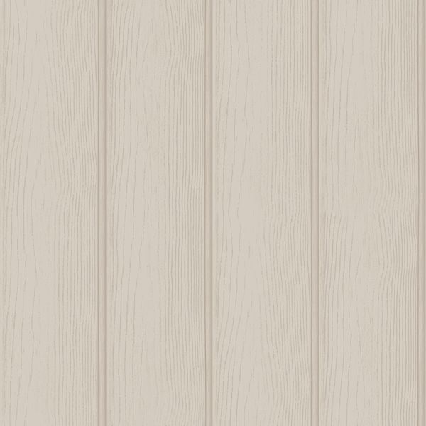 13991 Adventure Awaits Tongue and Groove Beige