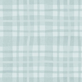14001 Adventure Awaits Ivy Plaid Sky Blue