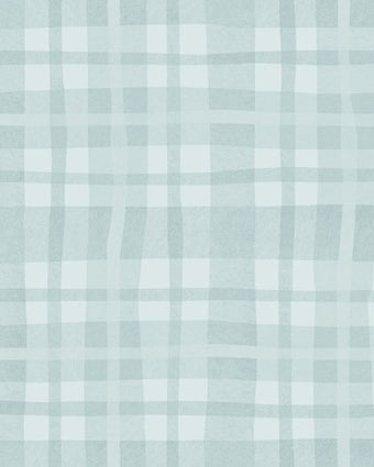 14001 Adventure Awaits Ivy Plaid Sky Blue