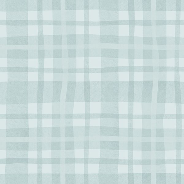 14001 Adventure Awaits Ivy Plaid Sky Blue