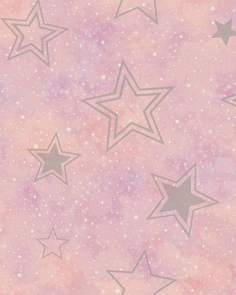 14060 Adventure Awaits Stardust Pink/Silver