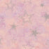 14060 Adventure Awaits Stardust Pink/Silver