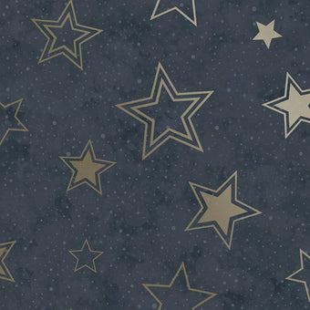 14061 Adventure Awaits Stardust Blue/Gold