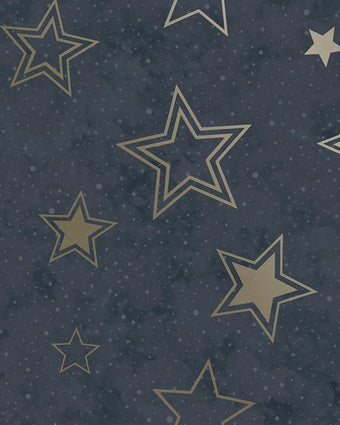 14061 Adventure Awaits Stardust Blue/Gold