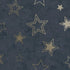 14061 Adventure Awaits Stardust Blue/Gold
