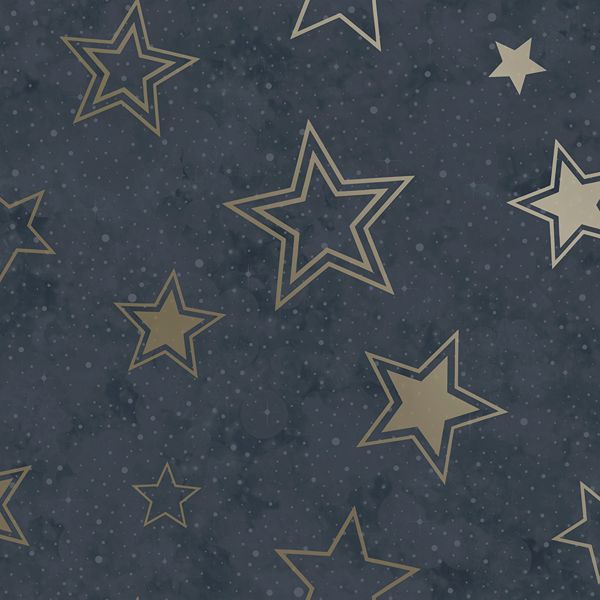 14061 Adventure Awaits Stardust Blue/Gold