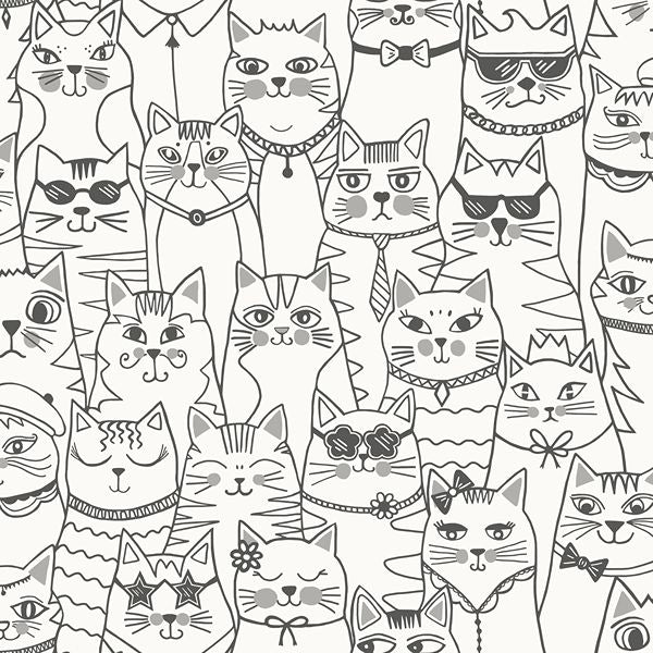 14070 Adventure Awaits Colour me cats Black and White