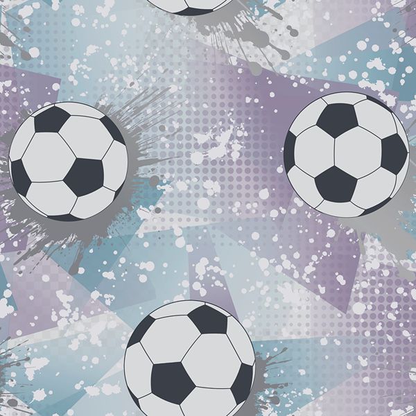 14091 Adventure Awaits Football Frenzy Lilac/Silver