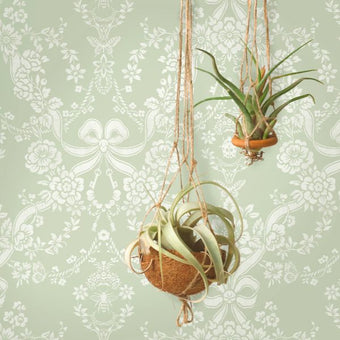 14170 Imaginarium Bow Damask Sage