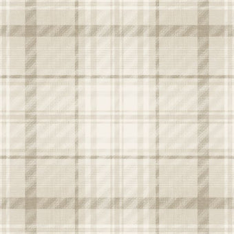 14180 Imaginarium Kirkham Check Neutral