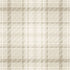 14180 Imaginarium Kirkham Check Neutral
