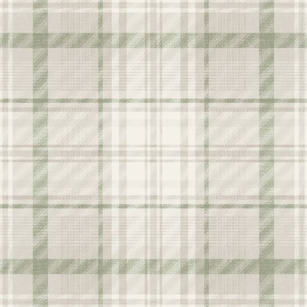 14181 Imaginarium Kirkham Check Green