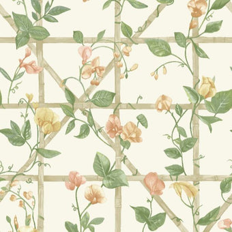 14200 Imaginarium Trailing Floral Trellis Cream Orange