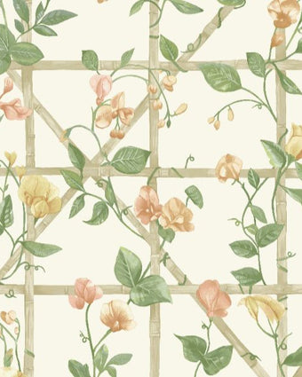 14200 Imaginarium Trailing Floral Trellis Cream Orange
