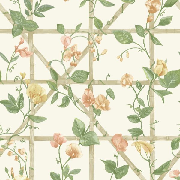 14200 Imaginarium Trailing Floral Trellis Cream Orange