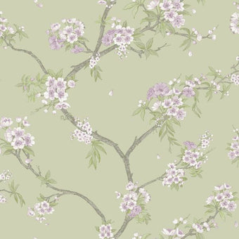 14210 Imaginarium Cherry Blossom Sage Heather
