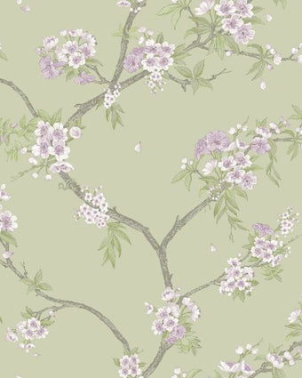 14210 Imaginarium Cherry Blossom Sage Heather