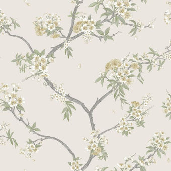 14212 Imaginarium Cherry Blossom Yellow Cream
