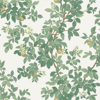 14240 Imaginarium Orange Tree Cream Green